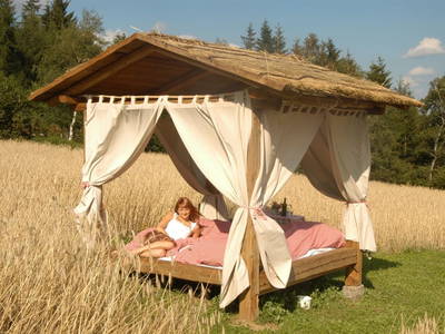 Bild 22 aus  Verwöhnbauernhof im Mühlviertel