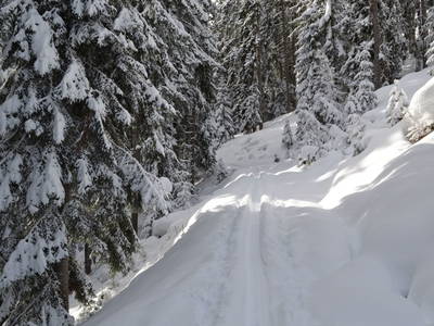 Bild 37 aus  Schloif Troadkastn