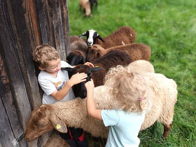 Bild 204 aus  Haus Hagspiel