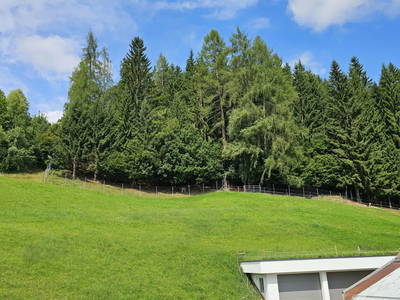 Bild 38 aus  Pfleger Ranch am Schönegg Gut