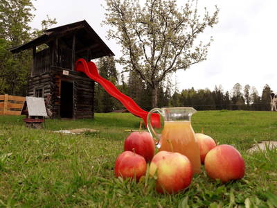 Bild 82 aus  Blattlbauer