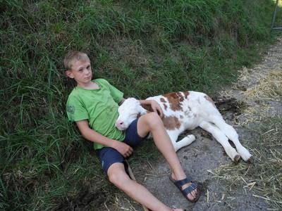 Bild 40 aus  Peter in der Edt