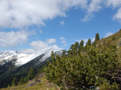 Bild 25 aus  Der Perweinhof