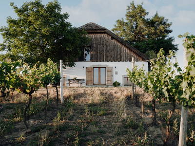 Bild 2 aus  Ferienkeller der Weinakademie Retz