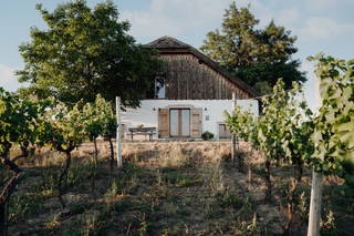 Ferienkeller der Weinakademie Retz aus Sitzendorf an der Schmida