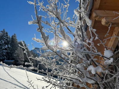 Bild 28 aus  Ferienhaus Oberpremgut