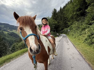 Bild 80 aus  Bio Bauernhof Oberbenk