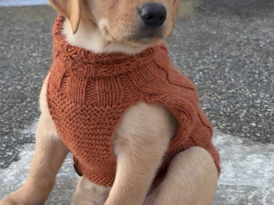 Bild 26 aus  Essleggerhof