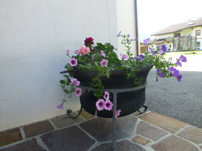 Bild 64 aus  Obersinnlehenhof