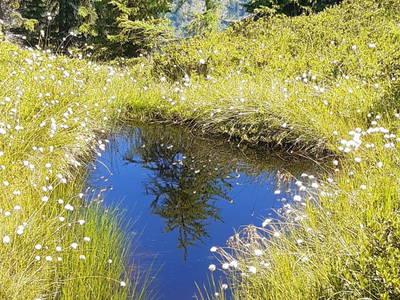 Bild 18 aus  Hoislbauerngut