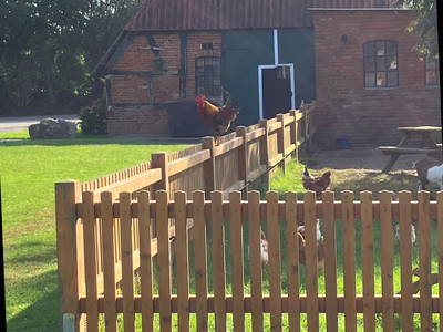 Bild 37 aus  Ostseeferienhof Tralau