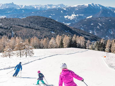 Bild 12 aus  Ferienwohnung Steinacher