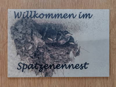 Bild 144 aus  Pleschinhof