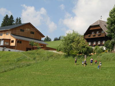 Bild 71 aus  Pieber-Staberhof