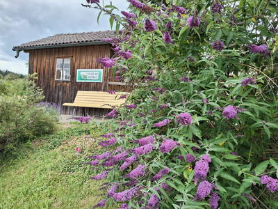 Bild 153 aus  Peinbauerhof