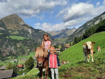 Bild 85 aus  Bauernhof Wachtlerhof