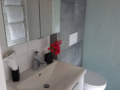 Bild 41 aus  Schnatterhof