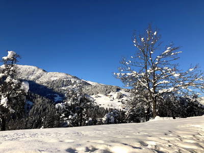 Bild 28 aus TESTHOF Oberösterreich