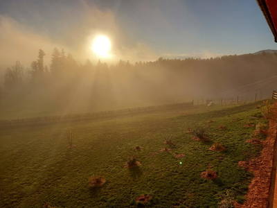 Bild 129 aus  Pircherhof - Adults Only am Biobauernhof