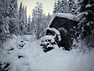 Bild 49 aus  Bleierhof