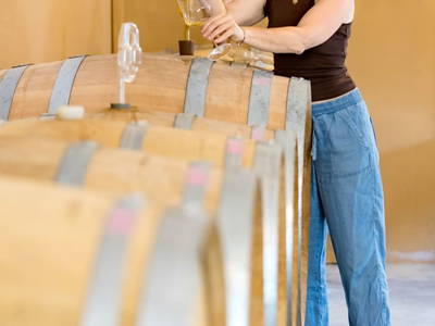 Bild 28 aus  Monschein Demeterweingut