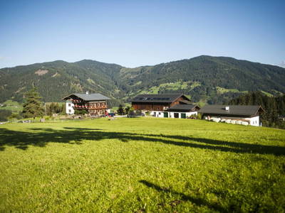 Bild 5 aus  Egglbauer