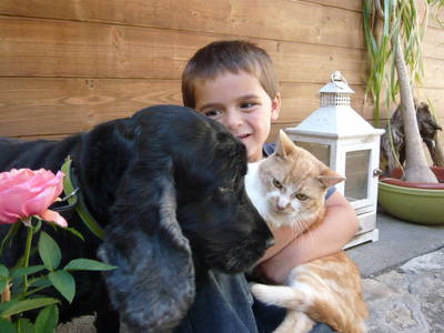 Bild 9 aus  Lacknerhof