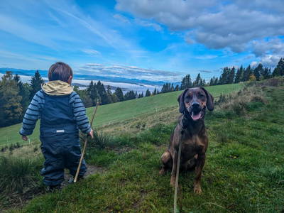 Bild 146 aus  Sank Haus - Alte Mühle