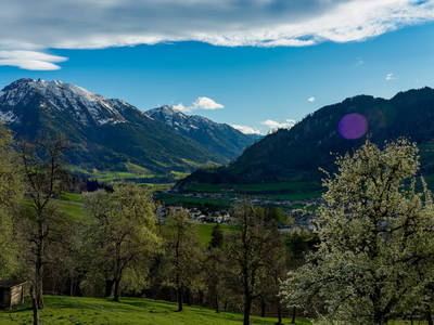 Bild 18 aus Lehenhof