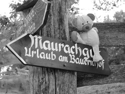 Bild 29 aus  Biohof Maurachgut