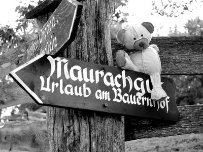 Bild 33 aus Biohof Maurachgut