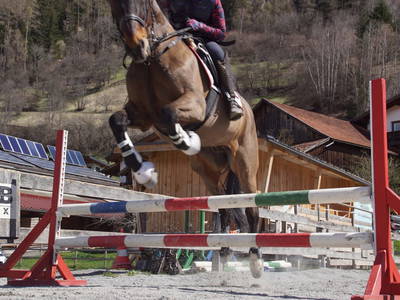 Bild 2 aus  Reiterhof Romanasa