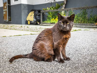Bild 70 aus  Biohof Untergrabenbauer