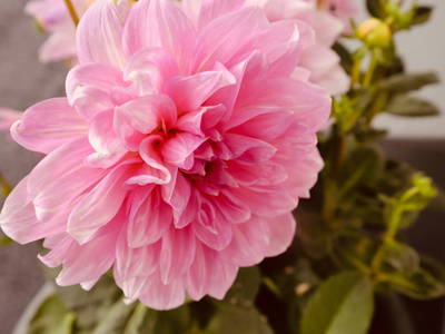 Bild 45 aus  Pochergütl