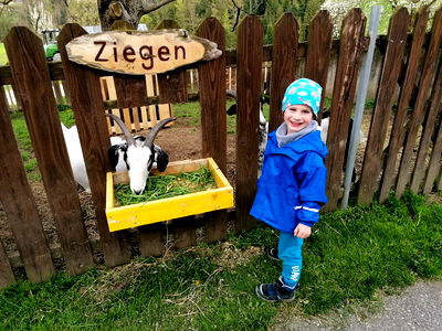 Bild 59 aus Bauernhof Leonhartsberger "Fuchs"