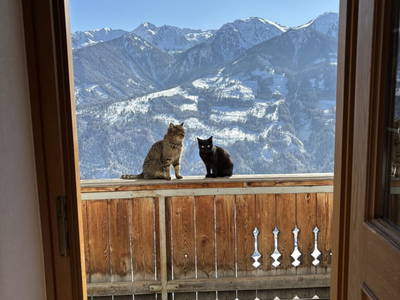 Bild 110 aus  Schuistlhof