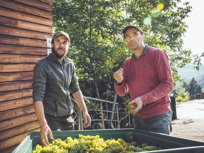 Bild 27 aus  Ferienhäuser Peter Skoff