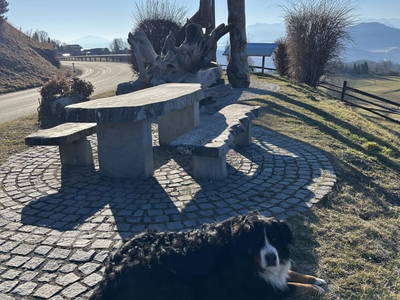 Bild 150 aus Lacknerhof in Liebenfels- Familie Klocker