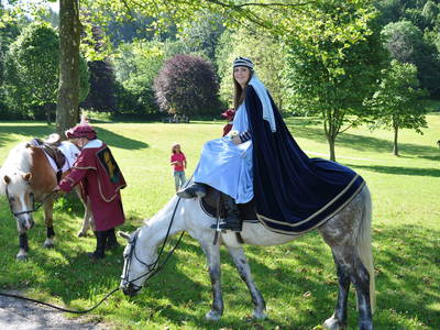 Bild 41 aus  Hof zu Steinern