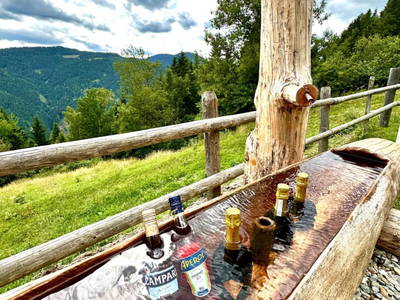 Bild 9 aus  Berghütte Reissnerhof