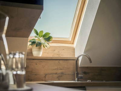 Bild 47 aus  Hacknerhof