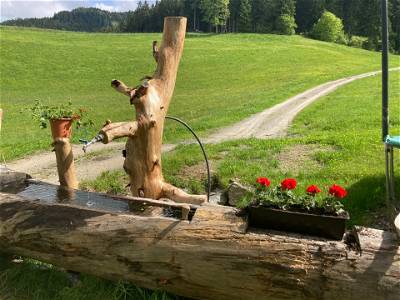Bild 49 aus Glatz Hof