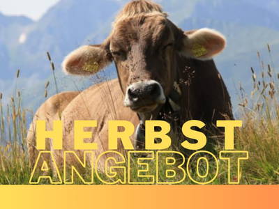 Bild 176 aus Panoramahof Eggele