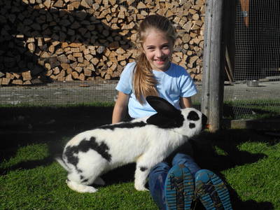 Bild 13 aus  Wagegger Hof