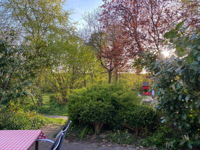 Bild 61 aus  Ferienhof Messer  Bauernhofurlaub  Ostseenähe  Ponys