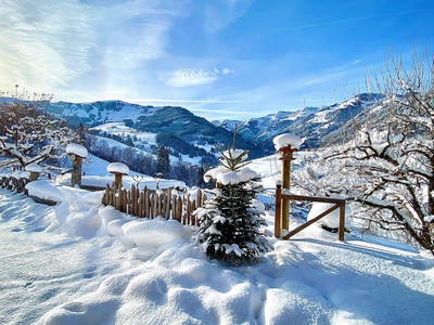 Bild 112 aus  Ederbauer