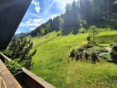 Bild 31 aus Waldhof