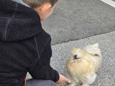 Bild 49 aus  Santnergut