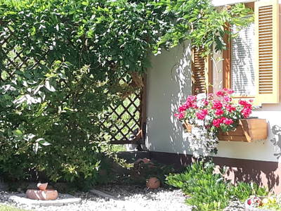 Bild 30 aus  Ferienwohnungen Trippolthof