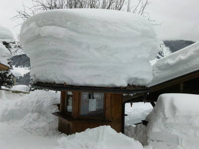 Bild 57 aus  Taxengut